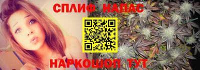 гидропоника Апшеронск