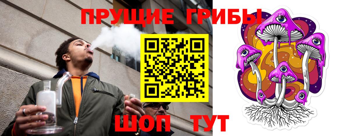 Вичуга  Псилоцибиновые грибы Magic Shrooms  Вход с VPN  где найти   Галлюциногенные грибы Cubensis 